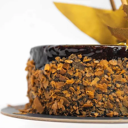 호텔 Fairmont Quasar